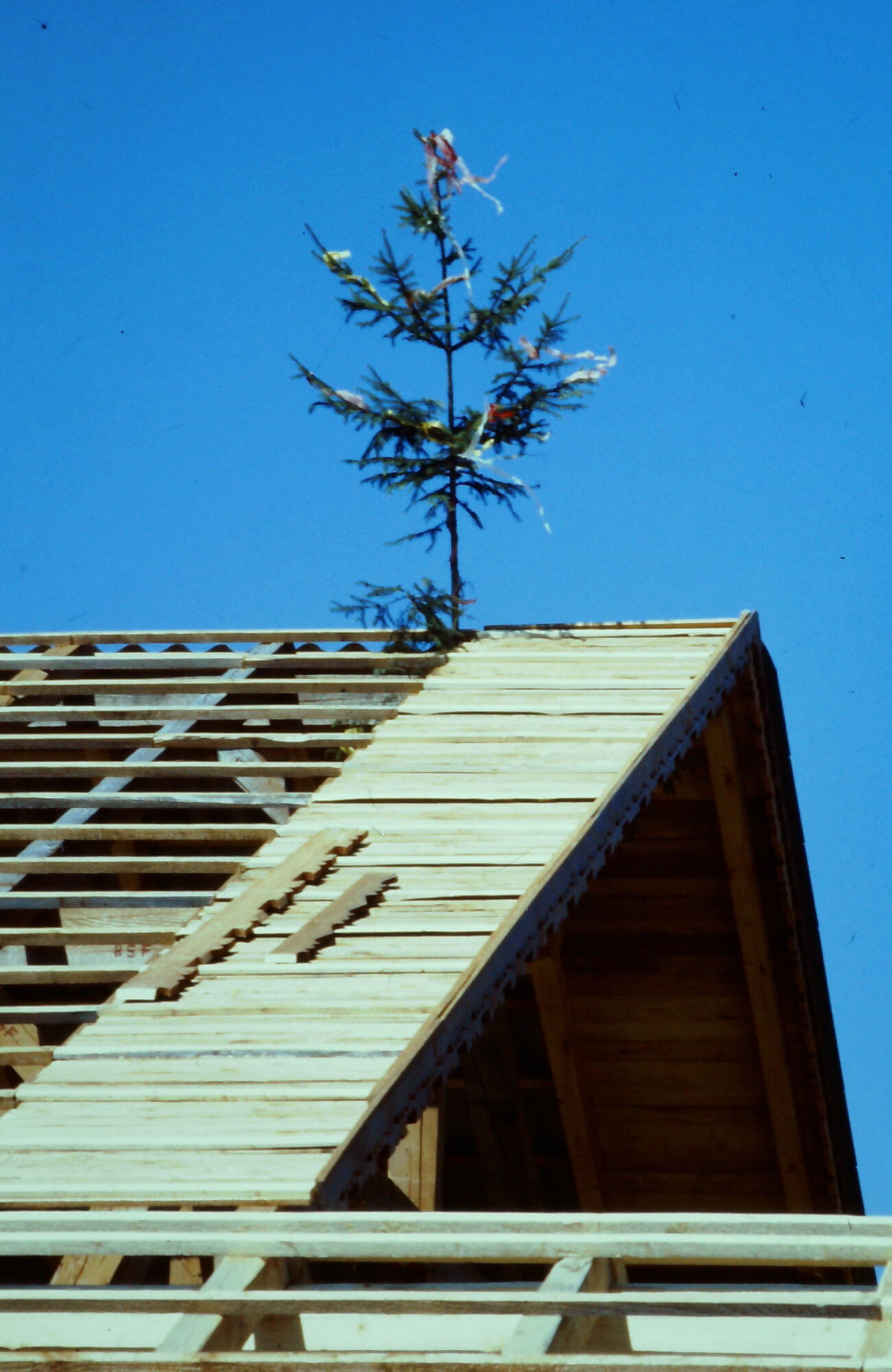 first-hackgutheizung-pram